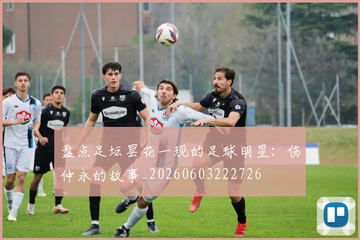 盘点足坛昙花一现的足球明星：伤仲永的故事_20260603222726