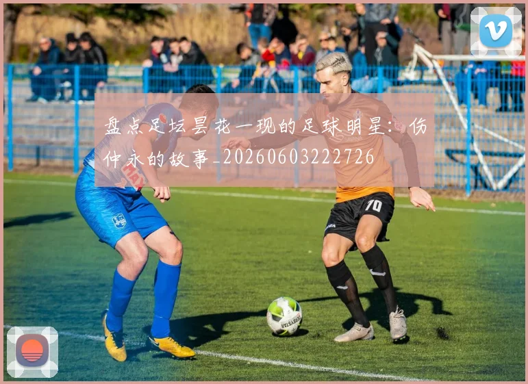 盘点足坛昙花一现的足球明星:伤仲永的故事_20260603222726