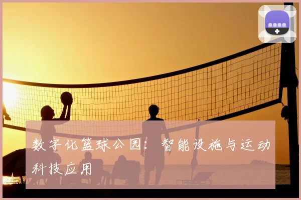 数字化篮球公园:智能设施与运动科技应用